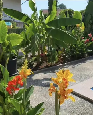 a group of flowers in a garden at APARTMAN MURKO P-4 in Ljubljana