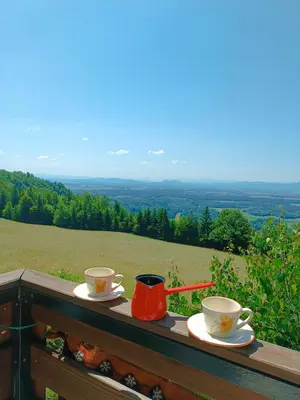 two coffee cups on a wooden table with a view at Kralj Matjaž - the green escape under Alps in Golnik