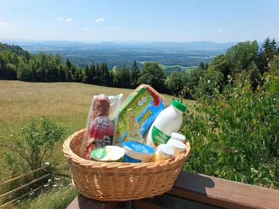 a basket of groceries sitting on a bench at Kralj Matjaž - the green escape under Alps in Golnik