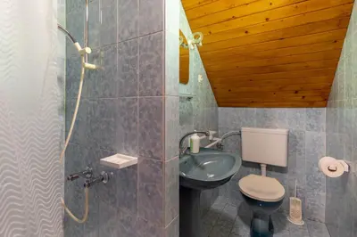 a bathroom with a toilet and a sink at Apartment Malej in Bohinj
