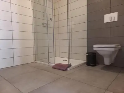 a bathroom with a shower and a toilet at Hiša za Gradom in Kobarid