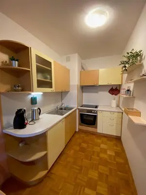 a kitchen with wooden cabinets and a white counter top at Apartma Felicija in Ljubljana