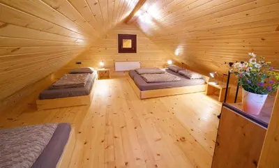 a room with two beds in a wooden cabin at Bomas house in Cerkno