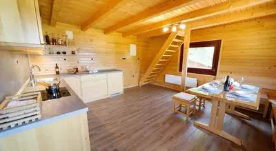 a kitchen in a log cabin with a wooden ceiling at Bomas house in Cerkno