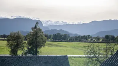 a view of a field with a tree and mountains at Vila Vrba in Žirovnica