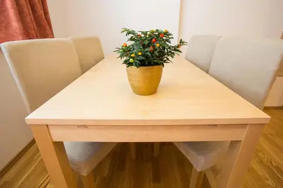 a wooden table with a potted plant on it at Apartments Benedičič in Bled