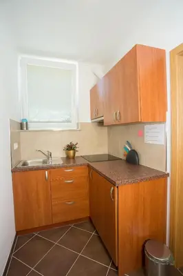 a small kitchen with wooden cabinets and a sink at Apartments Benedičič in Bled