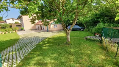 a tree in a yard next to a driveway at Apartment Otava in Šempas