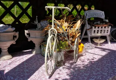 a bike parked next to a bunch of plants at Emerald Bell Cottage - Smaragdni Zvonček in Gomilsko