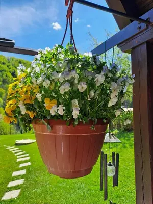 a pot of flowers hanging from a gazebo at Emerald Bell Cottage - Smaragdni Zvonček in Gomilsko