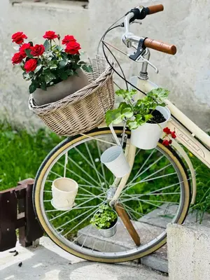 a bike with flower pots on the front wheel at Slovenian House Vida in Bled