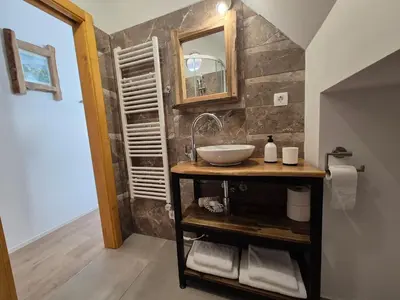 a bathroom with a sink and a mirror at Slovenian House Vida in Bled