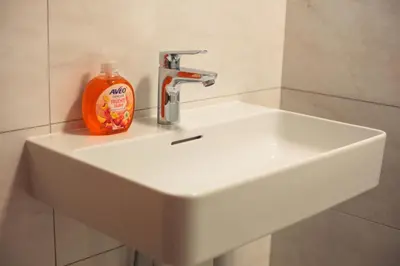 a sink with a bottle of soap sitting on it at Apartma Gorski razgled in Srednja Vas v Bohinju