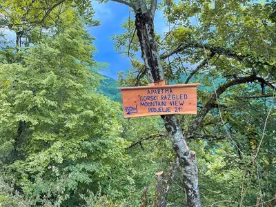 a sign hanging from a tree in a forest at Apartma Gorski razgled in Srednja Vas v Bohinju