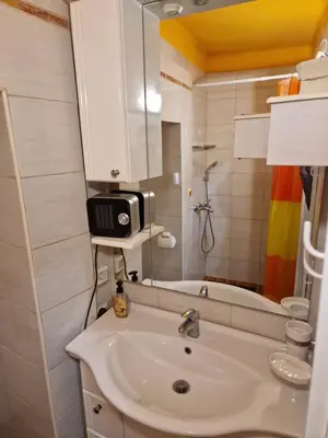 a bathroom with a sink and a mirror at Studio Lotrist in Radovljica