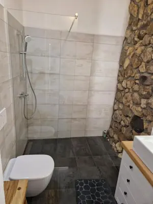 a bathroom with a shower and a toilet and a sink at Sobe Lotrist in Radovljica