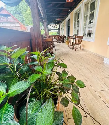 a patio with chairs and plants on a porch at Rooms Murka in Bled