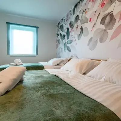 MIZU APARTMA VAS LIPA OLIMJE