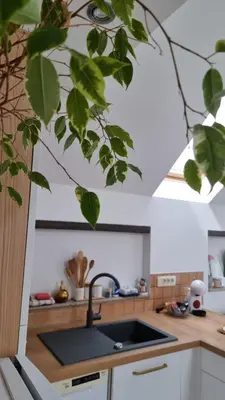 a kitchen with a sink and aaucet at Apartma Katarina in Bled