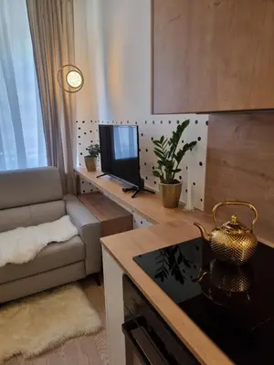 a living room with a couch and a television at Apartma Larisa in Bled