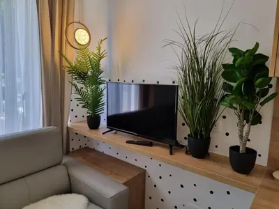 a living room with a tv and potted plants at Apartma Larisa in Bled