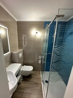 a bathroom with a shower and a toilet and a sink at Nina's Place in Bled