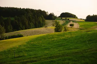 a green grassy hill with a road in the distance at Ladybug Eco House in Gradišče pri Lukovici