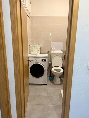 a bathroom with a toilet and a washing machine at Lorume in Postojna