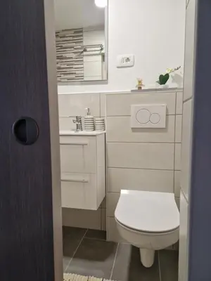 a small bathroom with a toilet and a sink at Greg's Rooms in Ilirska Bistrica