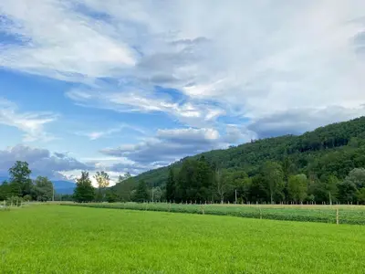 a field of green grass under a cloudy sky at Greg's Rooms in Ilirska Bistrica