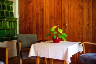 a table with a potted plant on top of it at Traditional homestead Guhar in Radovna in Mojstrana