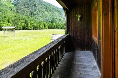 a porch of a house with a view of a field at Traditional homestead Guhar in Radovna in Mojstrana