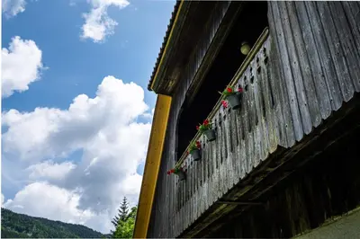 a window of a building with flowers on it at Traditional homestead Guhar in Radovna in Mojstrana