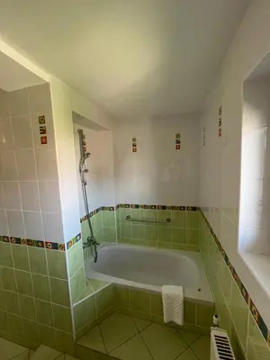 a bathroom with a bath tub in a room at Apartment Sonata in Kamnik