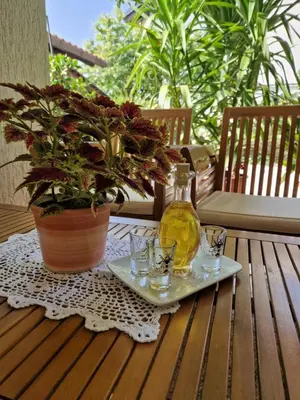 a bottle of oil on a plate with glasses on a table at Medeni Apartma in Pivka