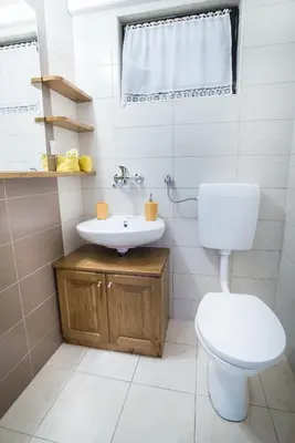 a bathroom with a toilet and a sink at Estate Žagmeštri in Ljubno