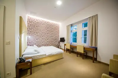 a bedroom with a bed and a desk and a window at Rimske Terme Resort - Hotel Sofijin dvor in Rimske Toplice
