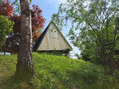 a small house on a hill with a tree at Ozy's place in Kamnik