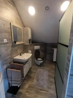 a bathroom with a sink and a toilet at Apartment Jovan in Bled