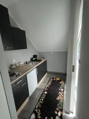a small kitchen with a rug on the floor at Apartment Jovan in Bled