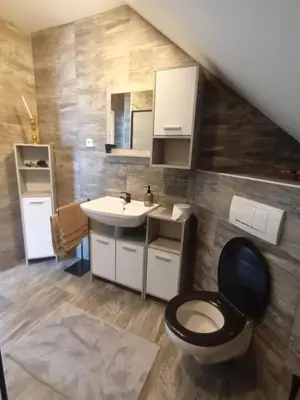 a bathroom with a toilet and a sink at Apartment Jovan in Bled
