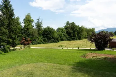 a field of green grass with trees and a road at A Nest Under the Karawanks in Žirovnica