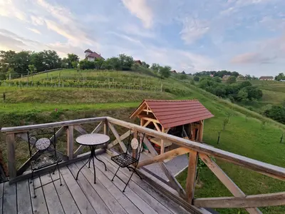 a deck with a table and chairs and a gazebo at Vineyard cottage Vinska grajska kašča in Mirna