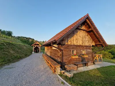 a log cabin with a pathway leading to it at Vineyard cottage Vinska grajska kašča in Mirna