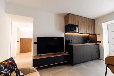 a living room with a large flat screen tv at APARTMENTS Goldi Superior in Stahovica
