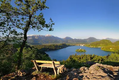 a wooden bench sitting on top of a hill overlooking a lake at Ana Rooms Bled in Bled