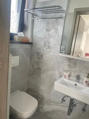a bathroom with a toilet and a sink at Ana Rooms Bled in Bled