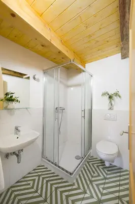 a bathroom with a shower and a toilet and a sink at Karst Heritage Retreat in Štanjel