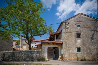 an old stone house with a tree in front of it at Karst Heritage Retreat in Štanjel