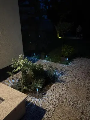 a garden at night with some plants and lights at Blue apartment with FREE parking in Ljubljana